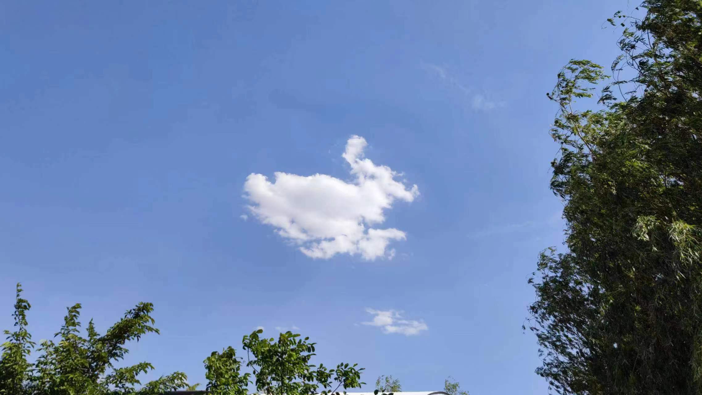 1654160762191969.jpg 1654160762191969.jpg